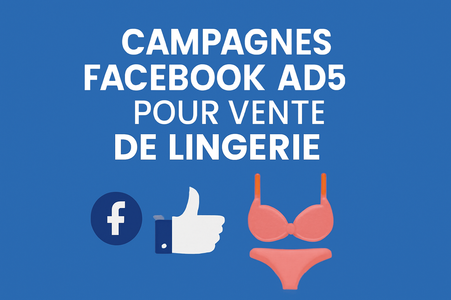Campagnes facebook ads pour Vente de lingerie