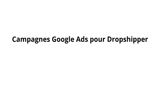 Campagnes Google Ads pour Dropshipper