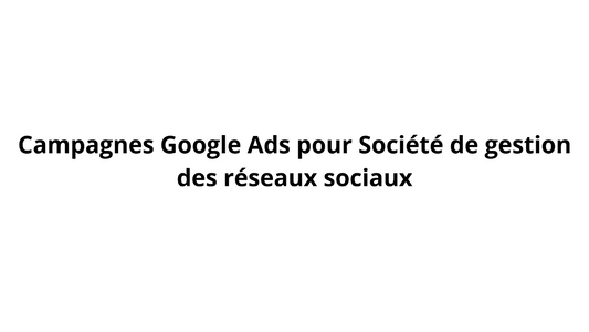 Campagnes Google Ads pour Société de gestion des réseaux sociaux