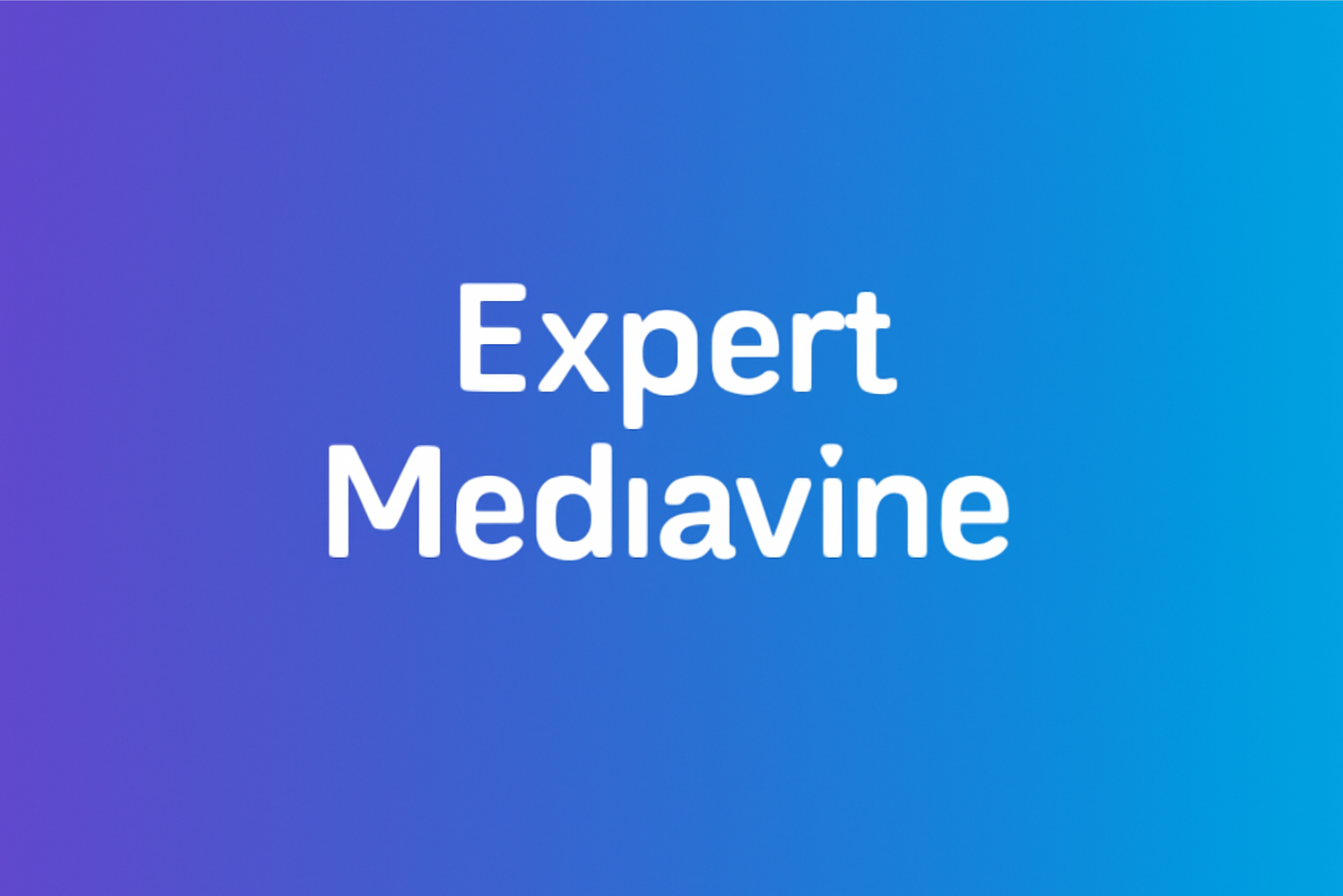 Expert Mediavine