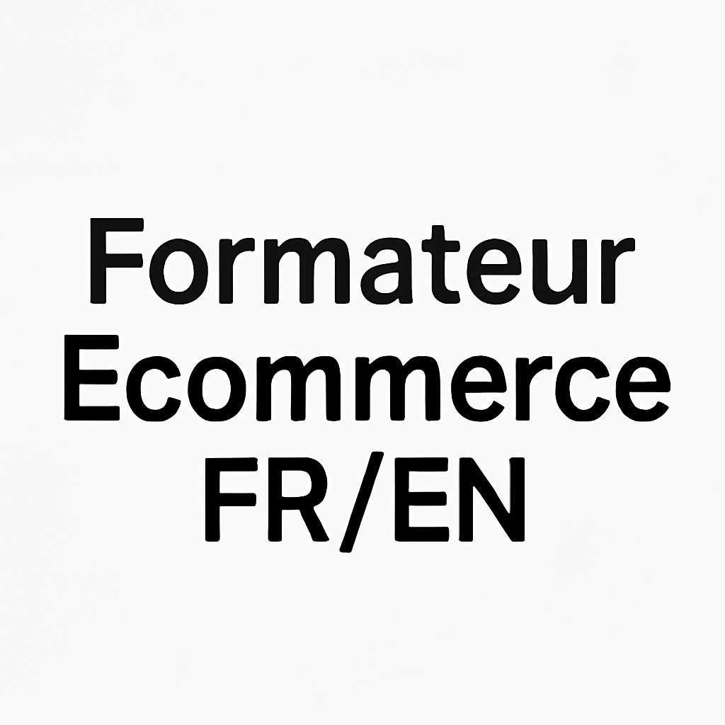 Formateur E-commerce FR/EN