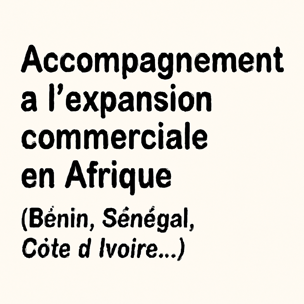 Accompagnement à l’expansion commerciale en Afrique