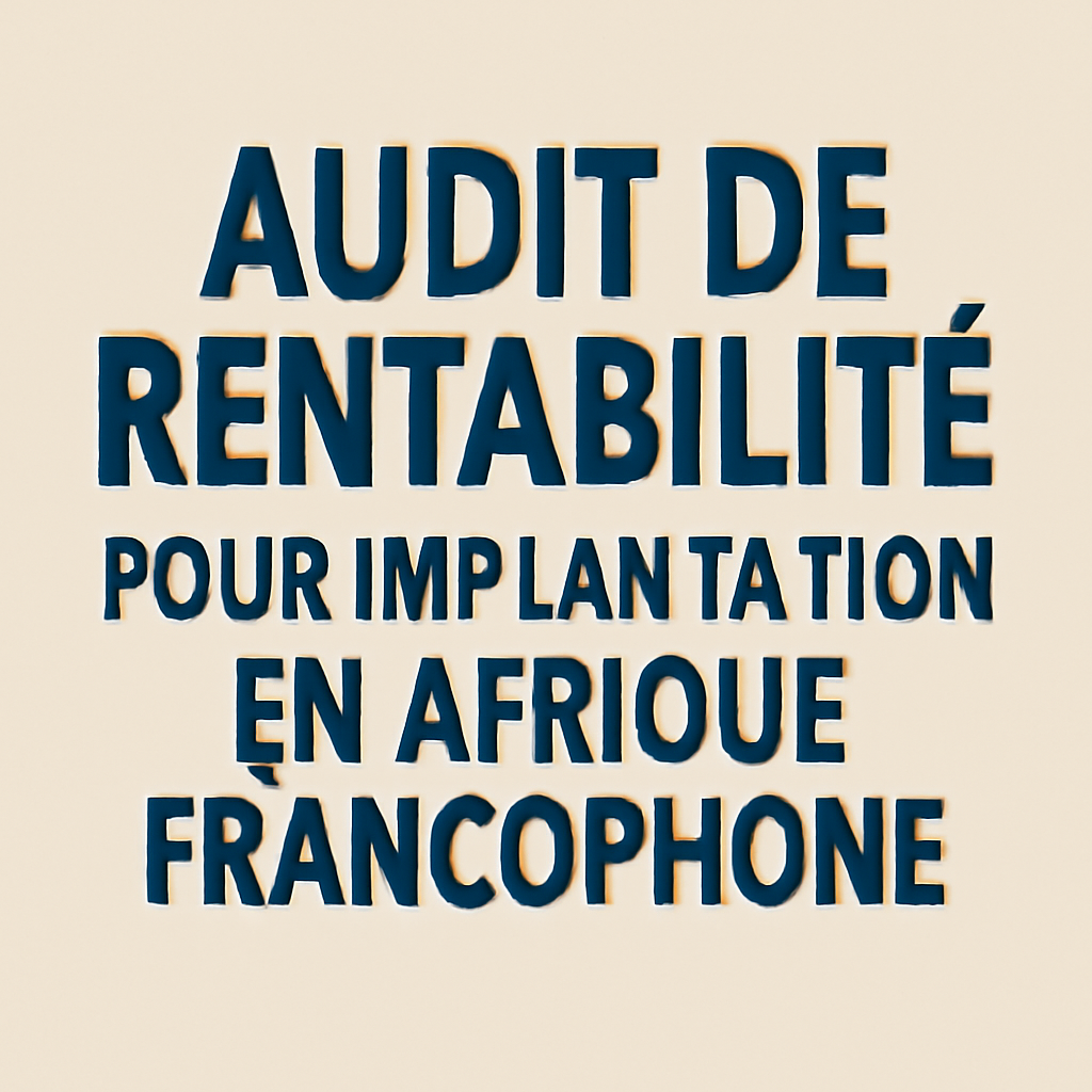 Audit de rentabilité pour implantation Afrique