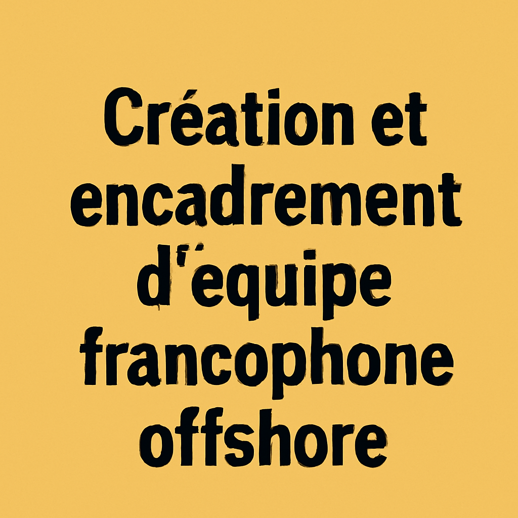 Création et encadrement d’équipe francophone offshore
