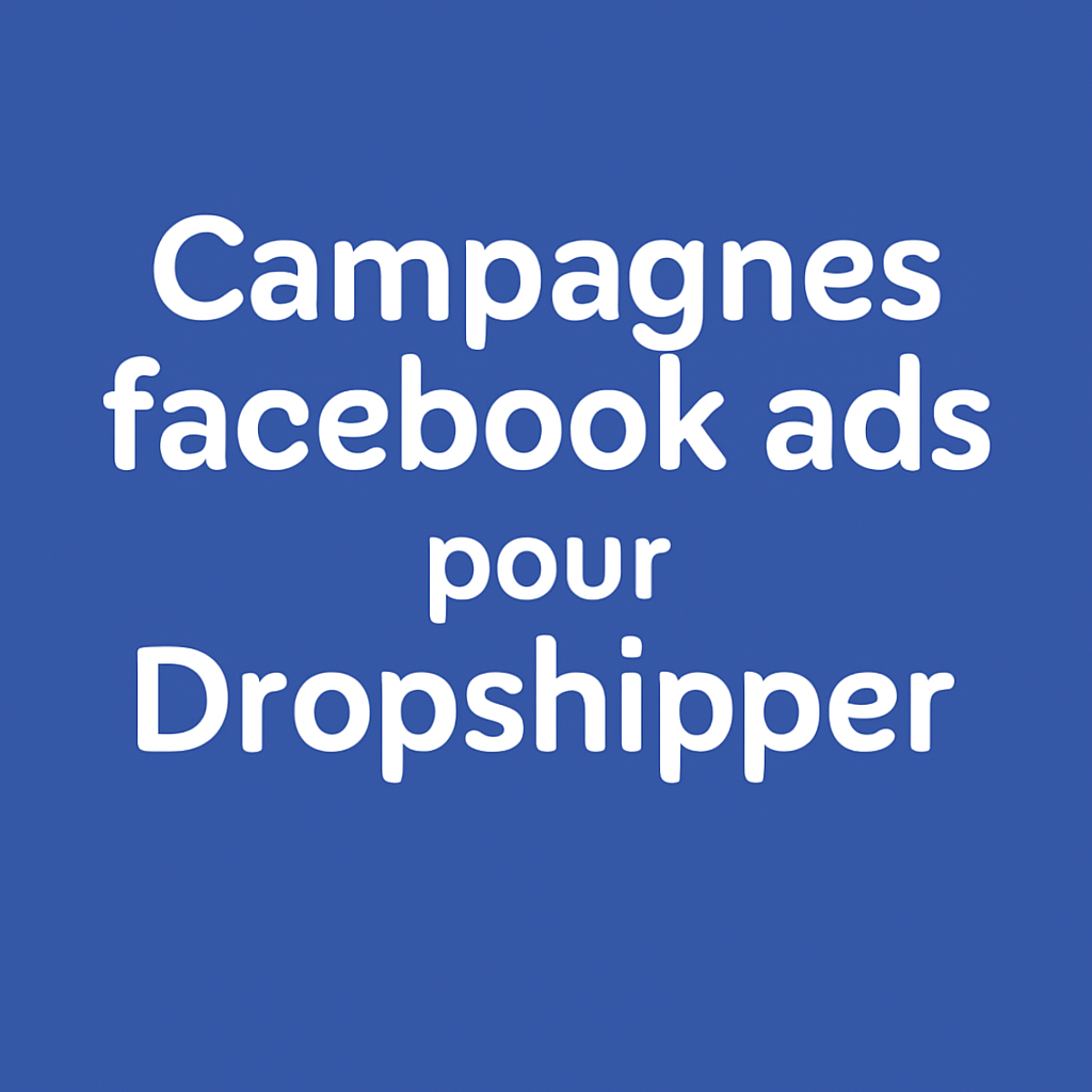 Campagnes facebook ads pour Dropshipper
