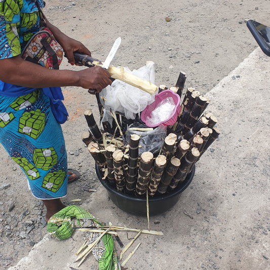 Mon Stage au Bénin : 2 Mois d'Aventure Professionnelle à Cotonou 🇧🇯
