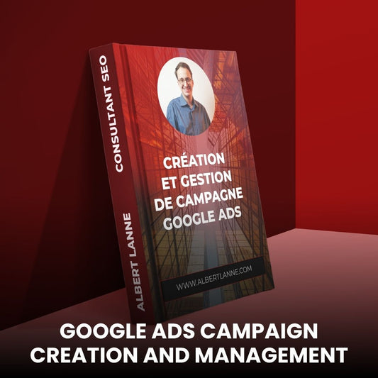 Campaña y gestión de la campaña de Google ADS