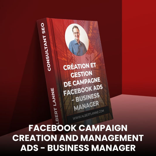Anuncios de creación y gestión de campañas de Facebook - Gerente de negocios