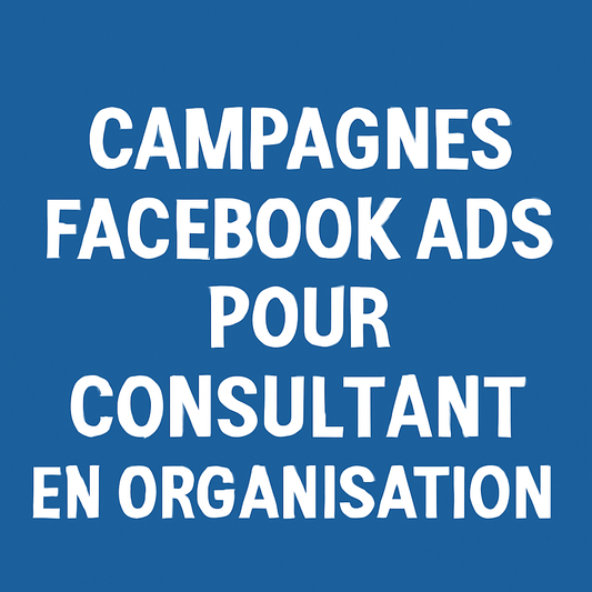 Campagnes facebook ads pour Consultant en organisation