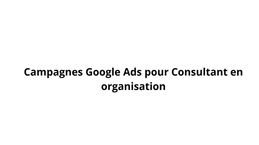 面向组织顾问的 Google 广告系列