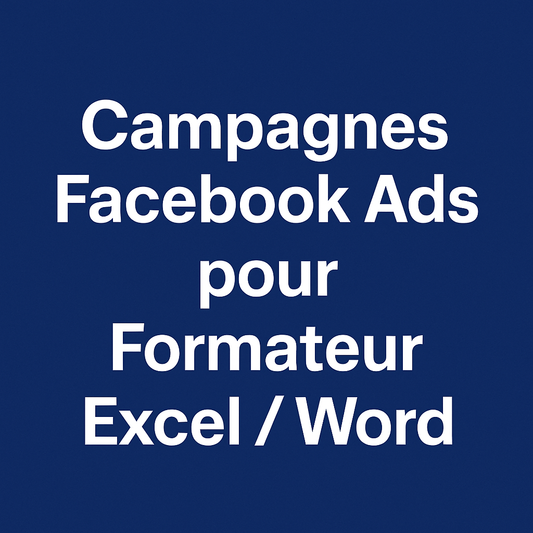 Campagnes facebook ads pour Formateur Excel / Word