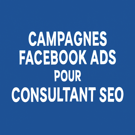 Campagnes facebook ads pour Consultant SEO